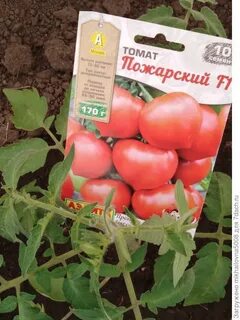 Семена пожарского