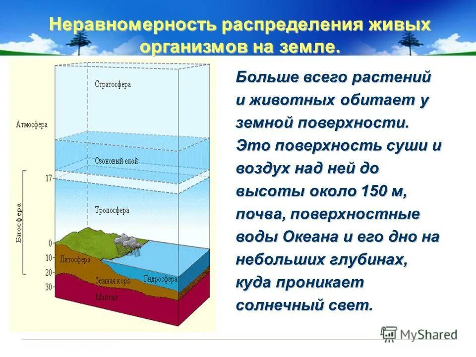 Где обитает большая часть организмов. Распространение организмов на земле. Распределение живых организмов. Распределение живых организмов на земле. Закономерности распространения живых организмов на земле.