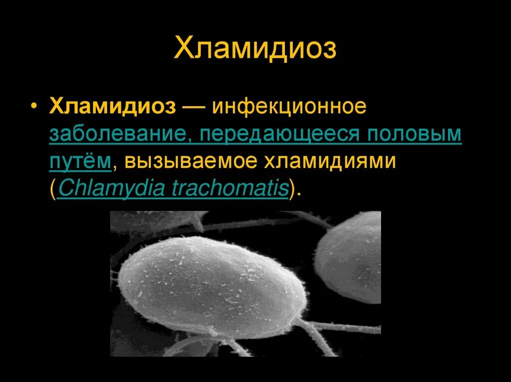 Хламидиоз клинические проявления.