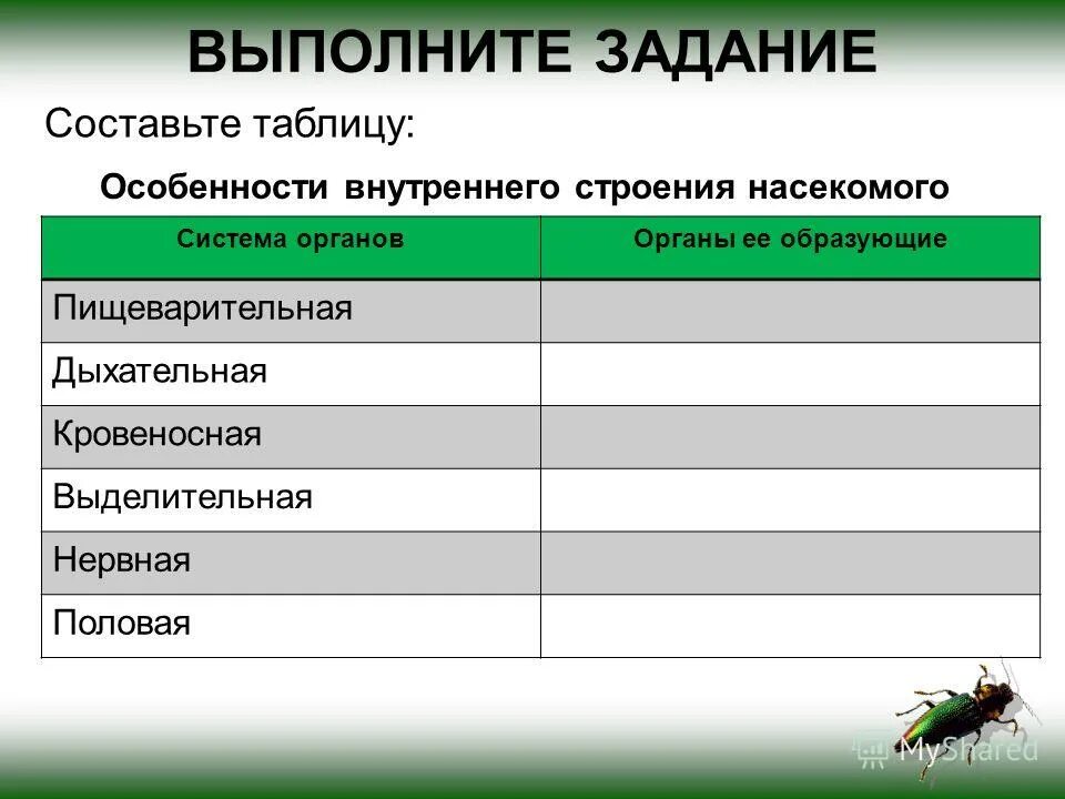 Таблица по биологии 7 класс внутреннее строение насекомых. Таблица строение систем органов насекомых. Таблица строение систем органов насекомых. Системы органов насекомых таблица 7 класс биология. Системы органов насекомых таблица 7 класс биология.