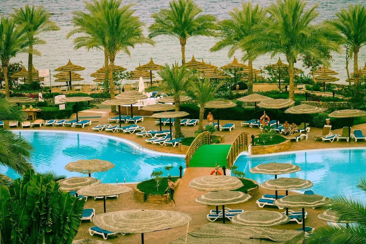Albatros royal grand sharm adults only 16+ 5*. Royal albatros moderna 5 египет. Albatros royal grand sharm. Albatros royal grand sharm шарм-эль-шейх. Albatros royal grand sharm шарм-эль-шейх.