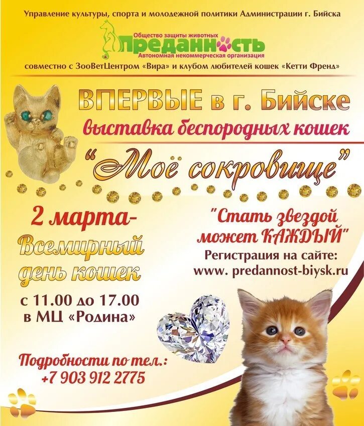Выставка кошек объявление. Выставка кошек мероприятие. Выставка кошек Бийск 2022. Выставка беспородных кошек.