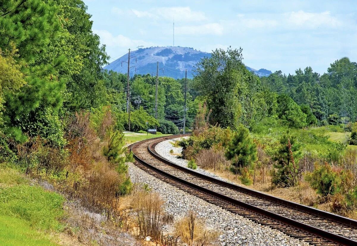 Трансгабонская железная дорога. Железная дорога путь рельсы. Дорог Transit Railway. Виньолевские рельсы.