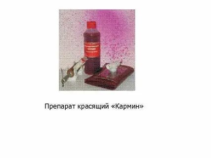 Красящий форум