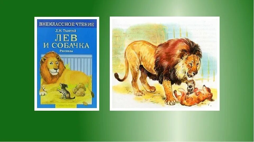 Произведение на букву н. Иллюстрация л. н. толстой (Лев и собачка). Лев Николаевич толстой Лев и собачка. Произведение л н Толстого Лев и собачка. Книги Толстого для детей Лев и собачка.