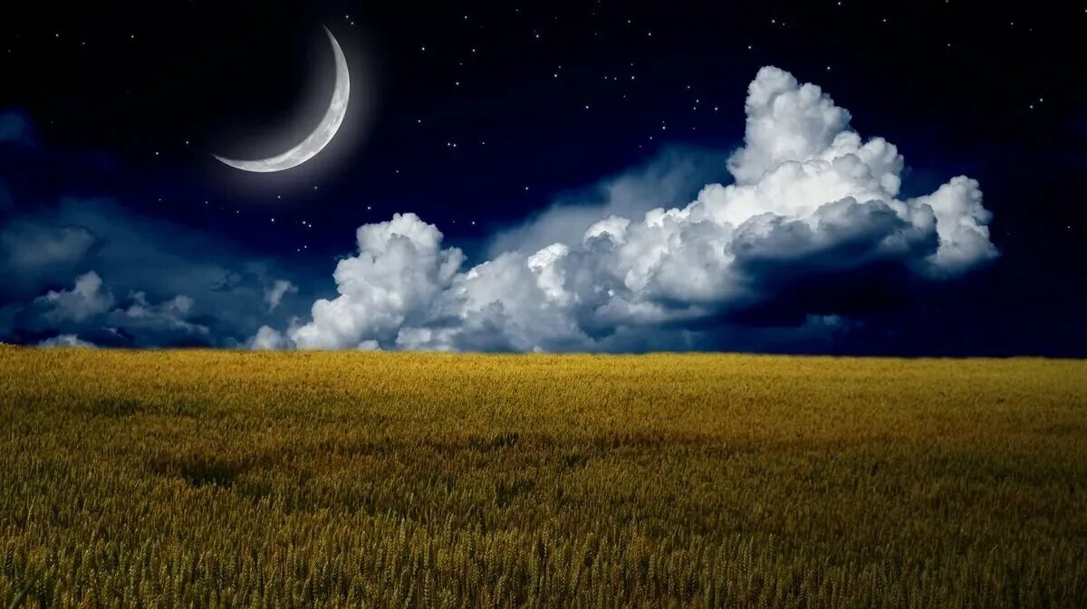 16 08 2023. Луна в поле. Ночная степь. Поле днем и ночью. Ночные облака в степи.
