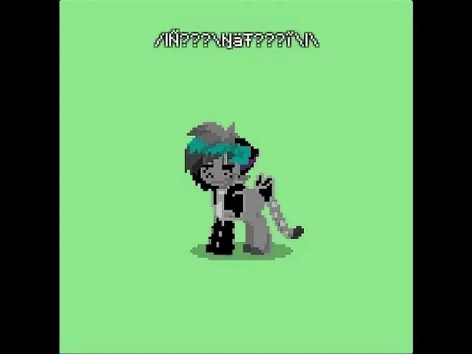 Кошка пони таун. Pony town ушки. Кошачьи ушки пони таун. Уши пони таун. Ушки в пони тауне.