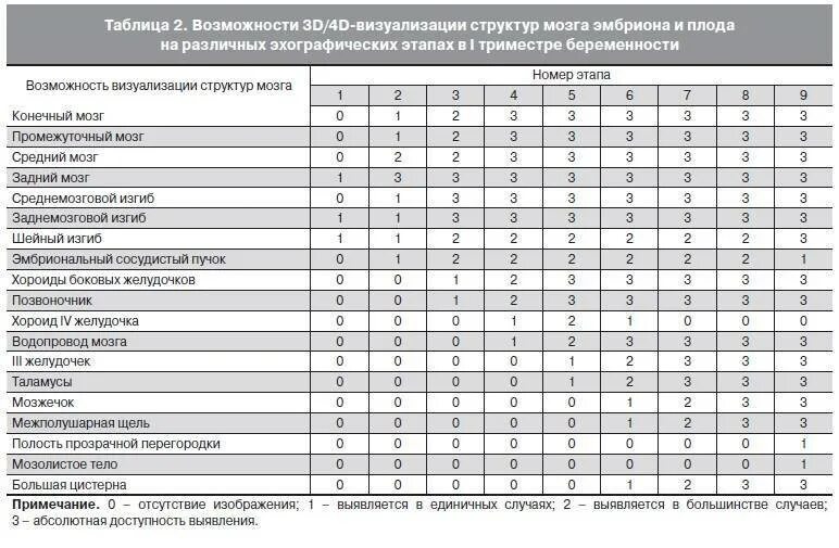 Мозг у плода норма