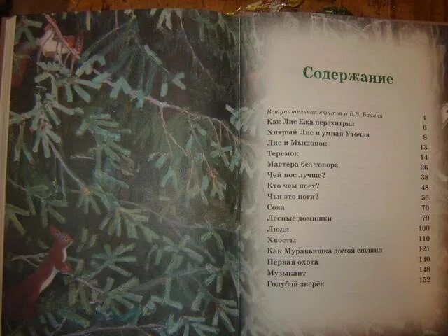 Бианки наводнения. Бианки рассказы оглавление. бианки наводнение в лесу. в. бианки наводнение в лесу план. зеленый пруд бианки.