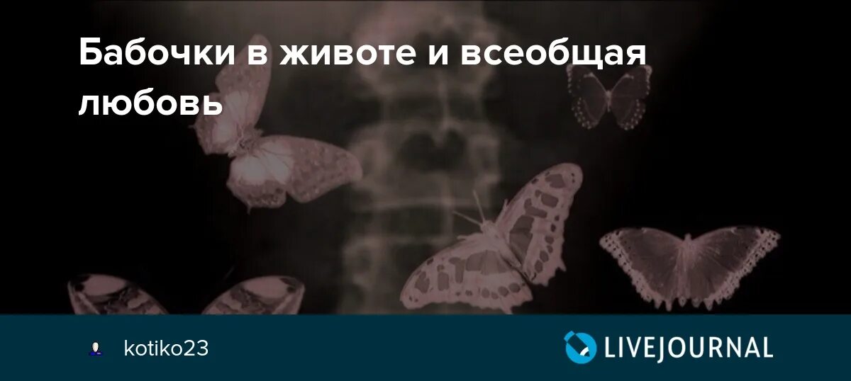 Бабочки в животе. Бабочки в животе любовь. Чувство бабочек в животе. Бабочки в животе картинки. Бабочки в животе кто поет