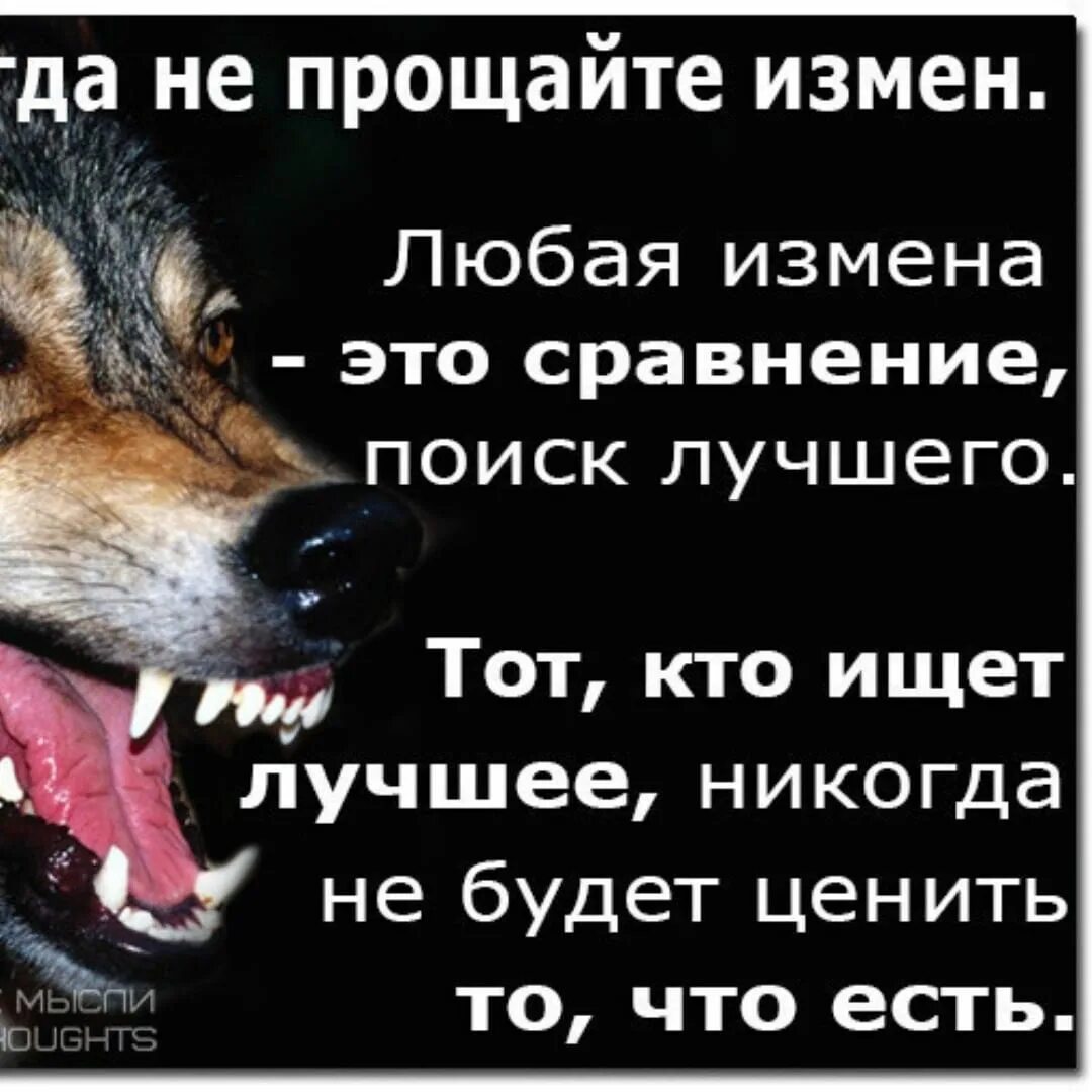 Прекратил измену. Никогда не прощайте измен. никогда не прощу измену. никогда не прощу предательство. я никогда не прощу предательство.