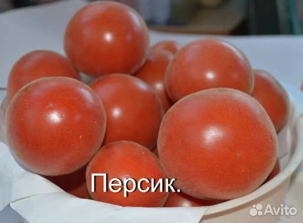 Томат сорт персик отзывы. Томат персик розовый f1. томат персик шахерезада. томат персик гавриш. помидора персик сорт шахерезада.