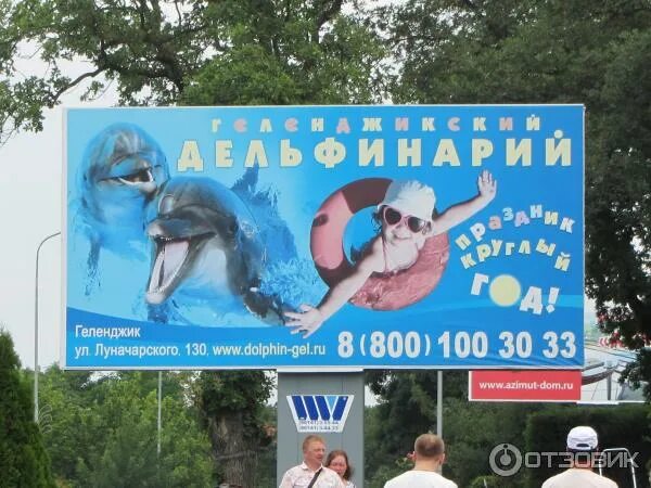 Геленджикский дельфинарий. Расписание дельфинария в геленджике. Часы работы дельфинария. Дельфинариум в геленджике. Дельфинариум в геленджике.