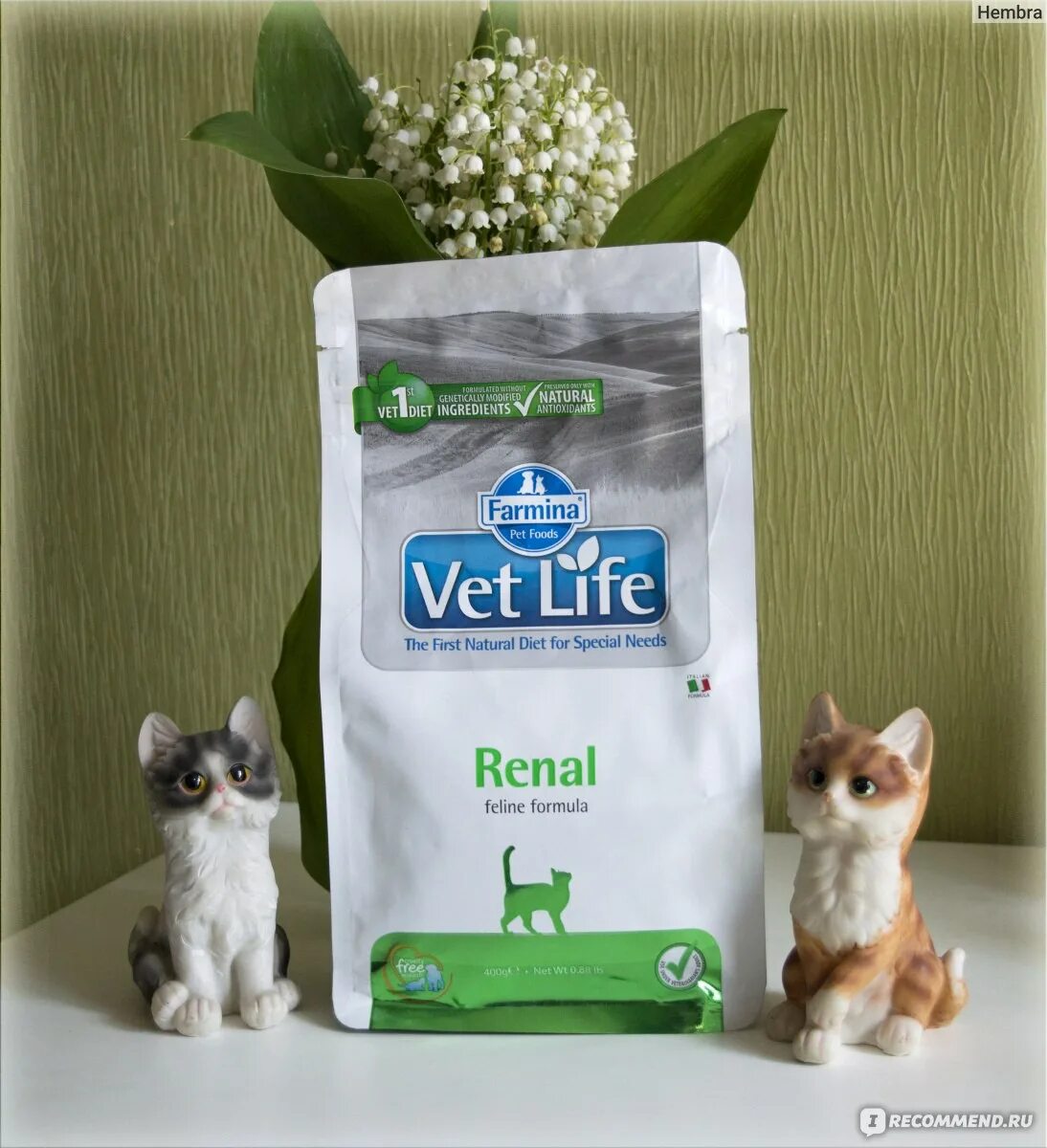 Farmina vet life renal для кошек. Корм Фармина Ветлайф Ренал. Vet Life корм для кошек renal. Фармина корм для кошек Ренал. Фармина для кошек vet Life Ренал.