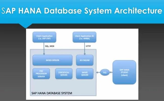 Заказы торо sap. Архитектура sap hana. мобильное торо sap. sap торо транзакции. схема связи объектов sap торо *vsd.