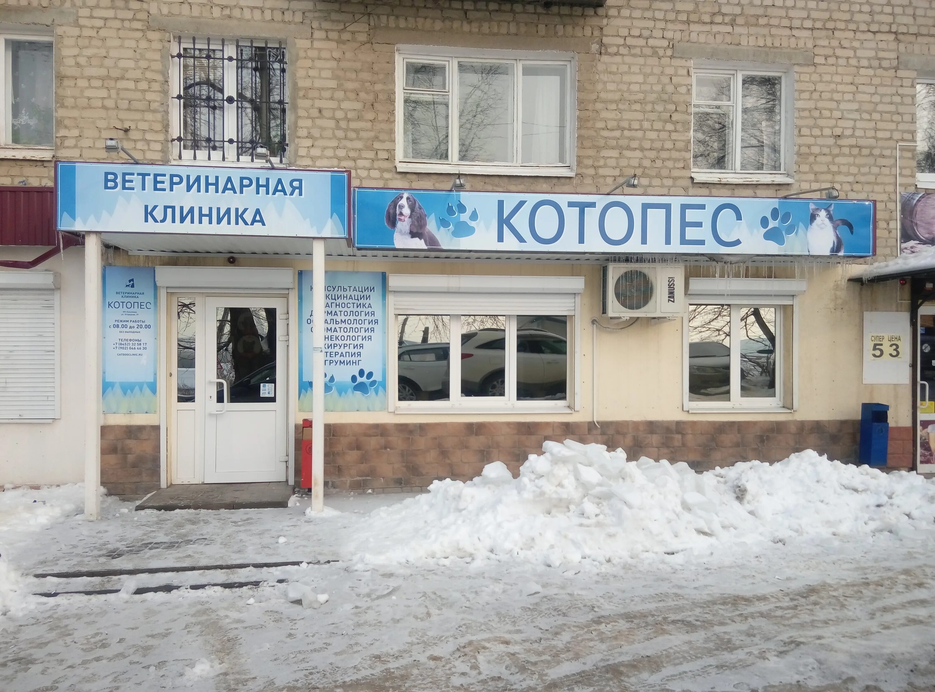 Саратов Котопес Огородная 29. Ветеринарная клиника Саратов Огородная 31б. Круглосуточная ветеринарная клиника Саратов заводской район. Г Камышин ветеринарная клиника. Телефон ветеринарной лечебницы