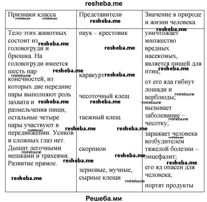 Сходство ракообразных паукообразных и насекомых состоит. Сходство ракообразных паукообразных и насекомых состоит