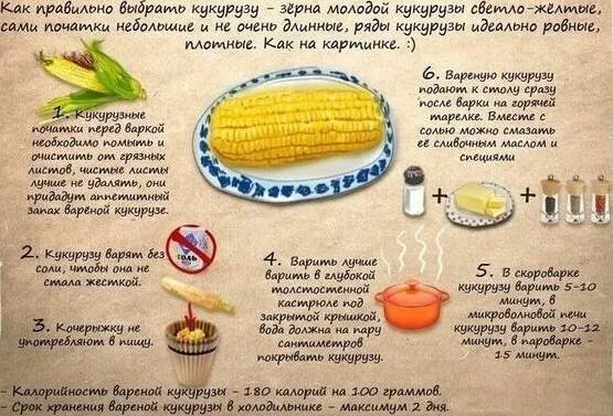 Сколько молодую кукурузу. Как правильно отварить кукурузу. сколько времени варить кукурузу. как варить кукурузу рецепт. как правильно варить кукурузу в початках.