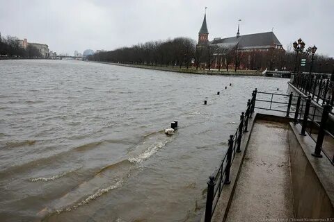Вода в калининграде сейчас