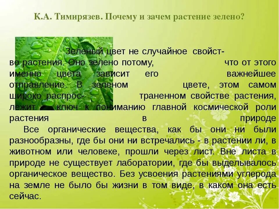 Текст если вы будете внимательно рассматривать цветы. Рассказ о зелёном цвете. Почему растения зеленого цвета. Зеленый растительный цвет. Сообщение на тему зеленый цвет.