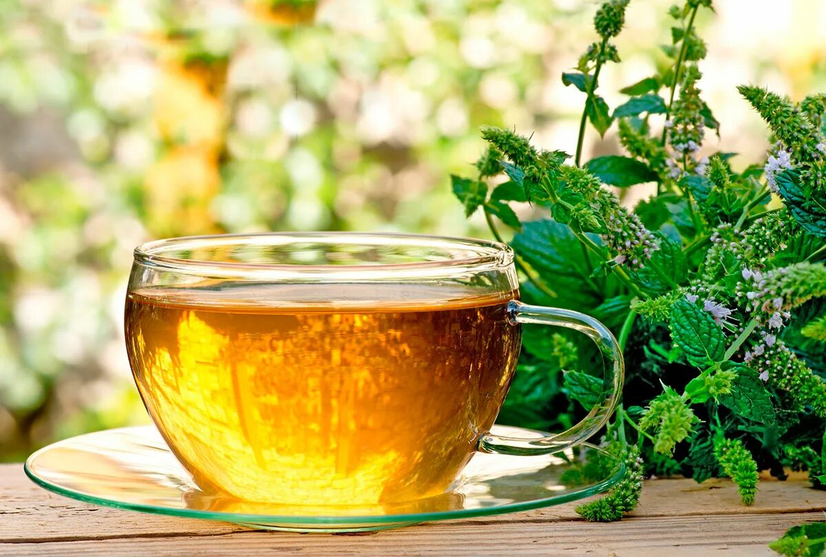 Травяной чай. Чай на травах. Отвар из трав. Зеленый травяной чай.