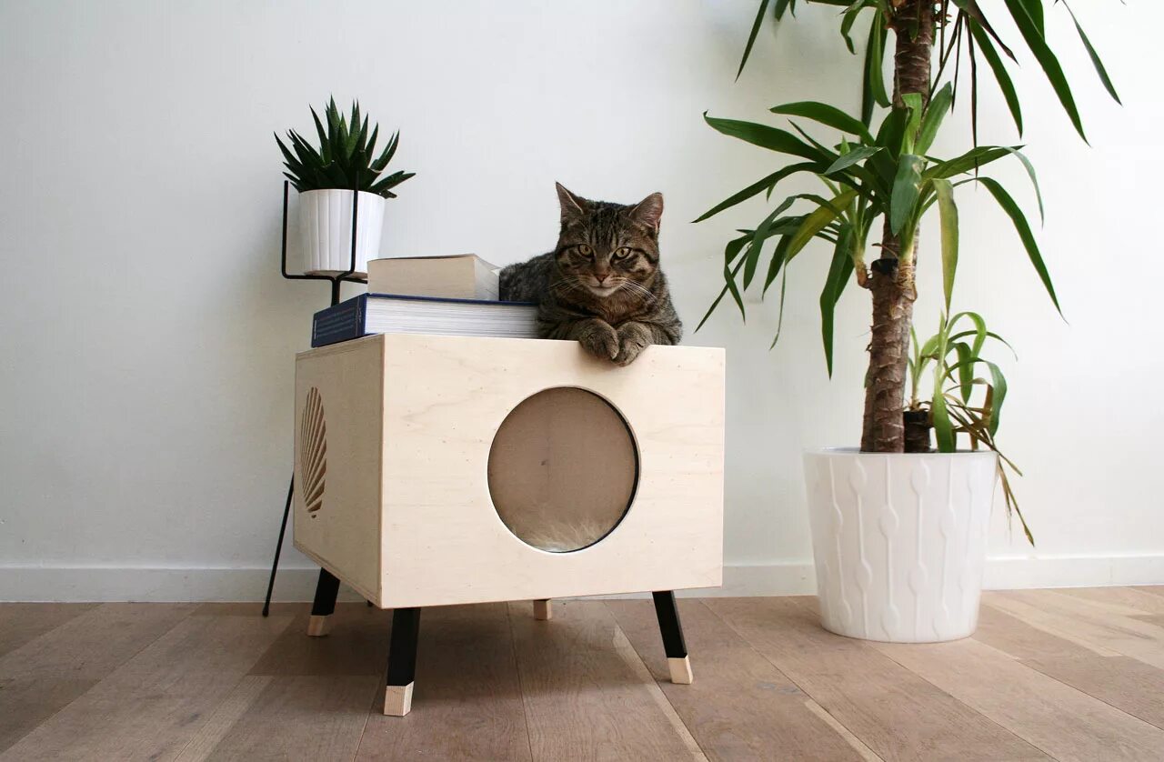 Производство для кошек. Дом для кошки. Стильные домики для кошек. Дизайнерские кошачьи домики. Необычная мебель для кошек.