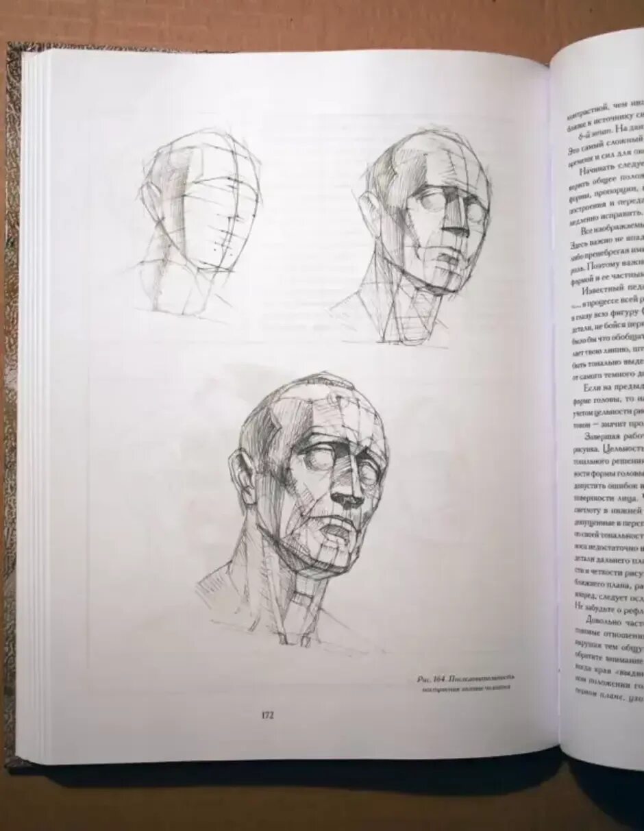 Книга основы академического. Голова человека основы учебного академического рисунка.