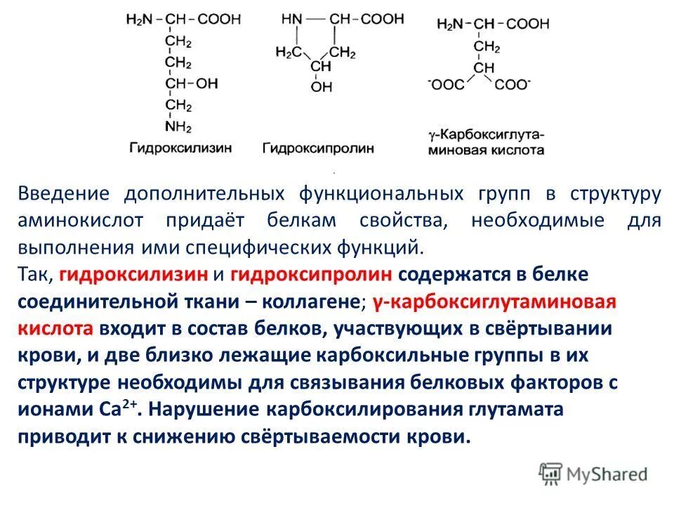 Белки и аминокислоты строение и функции. Белки строение. Белки строение аминокислоты. Белки и аминокислоты строение и функции. Белки и аминокислоты строение и функции.