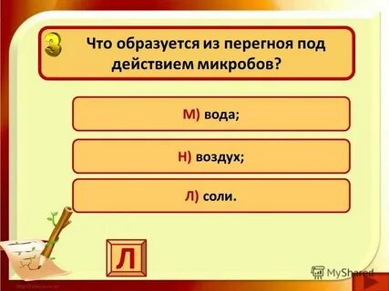 Что образуется из перегноя под действием микробов