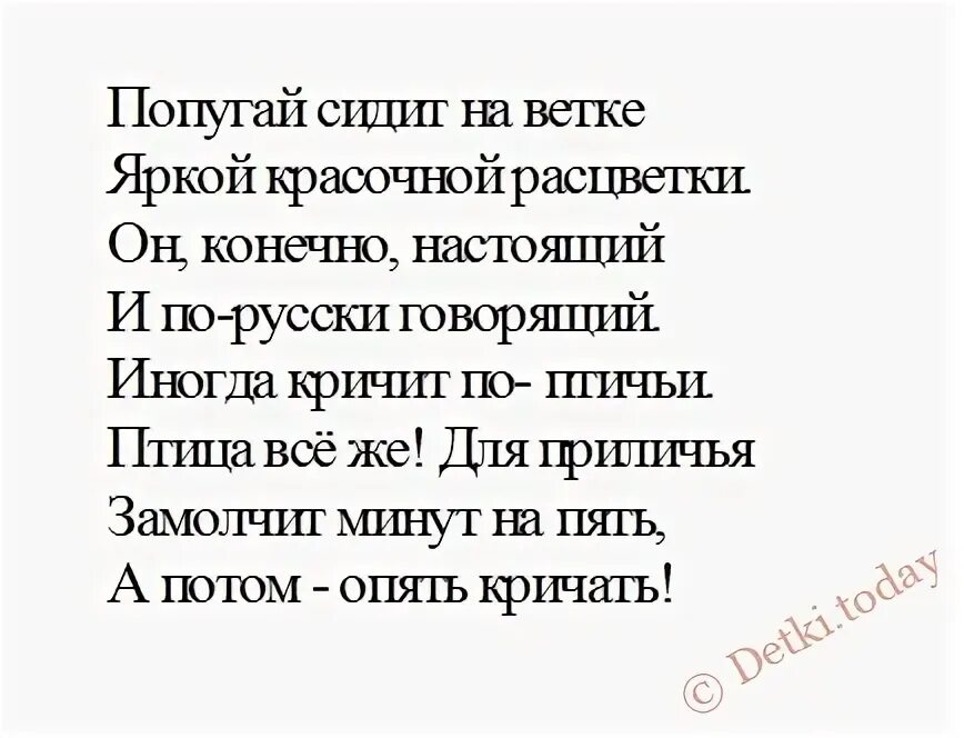 Стих про попугая. Стишки про попугайчиков. Детский стих про попугая. Детские стихи про попугая. Попугай попугаю скороговорка