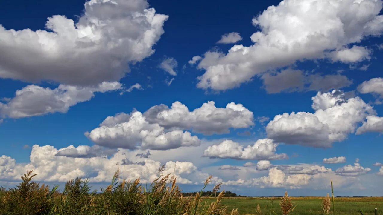 Sky ii