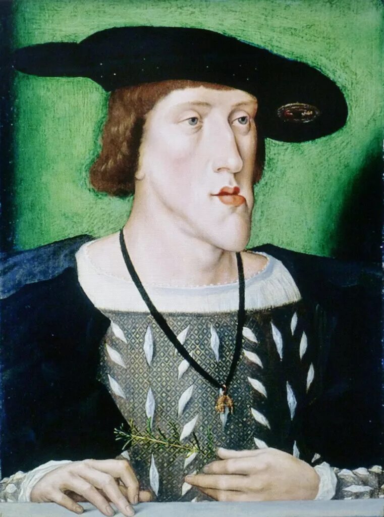 Габсбурги кровосмешение. Габсбурги кровосмешение