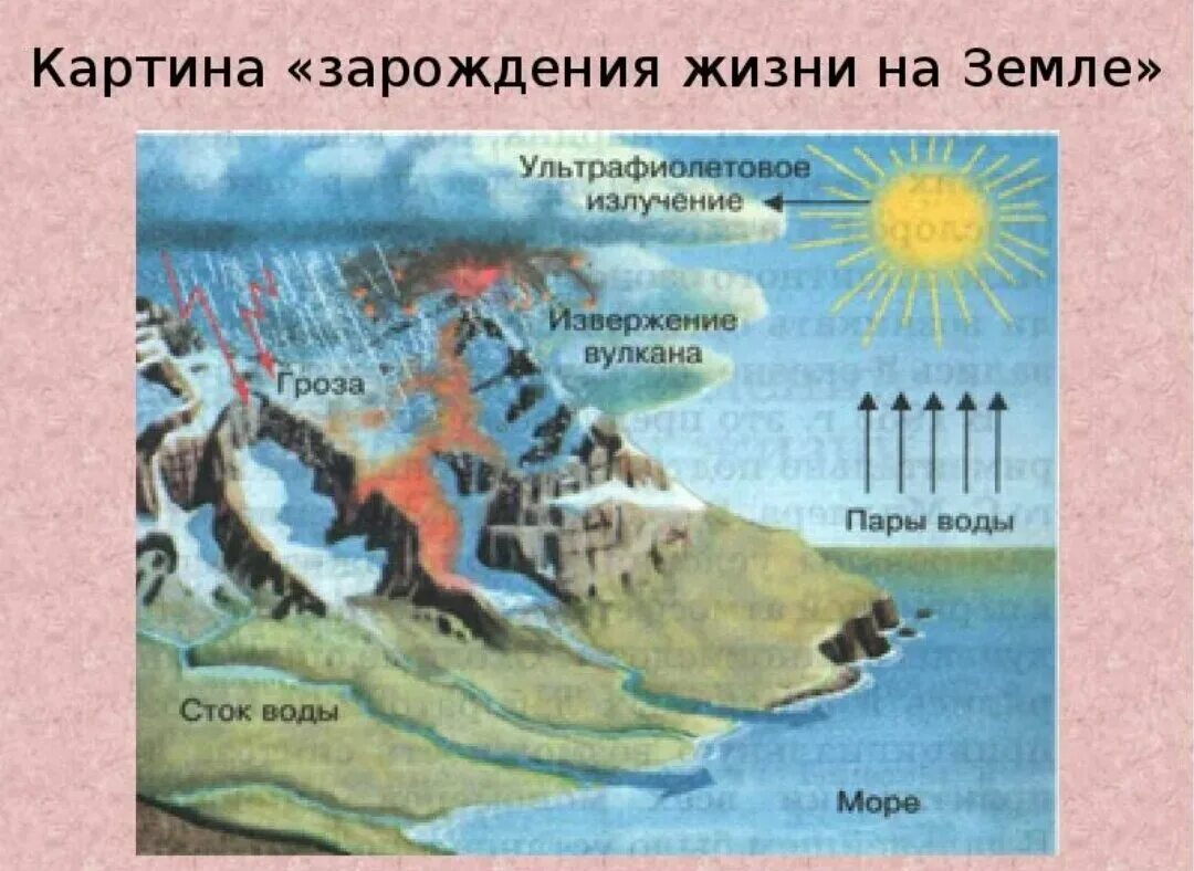 Зарождение жизни на земле. Жизнь на земле зародилась. Появление жизни на земле. Возникновение жизни на земле.