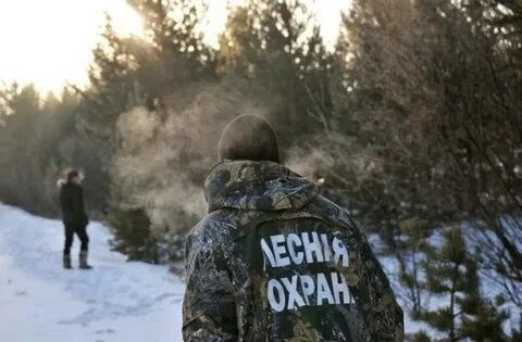 Охрана ели