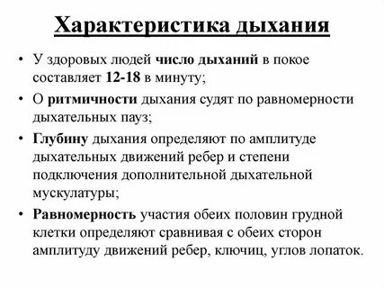 К простейшим средствам органов дыхания относятся