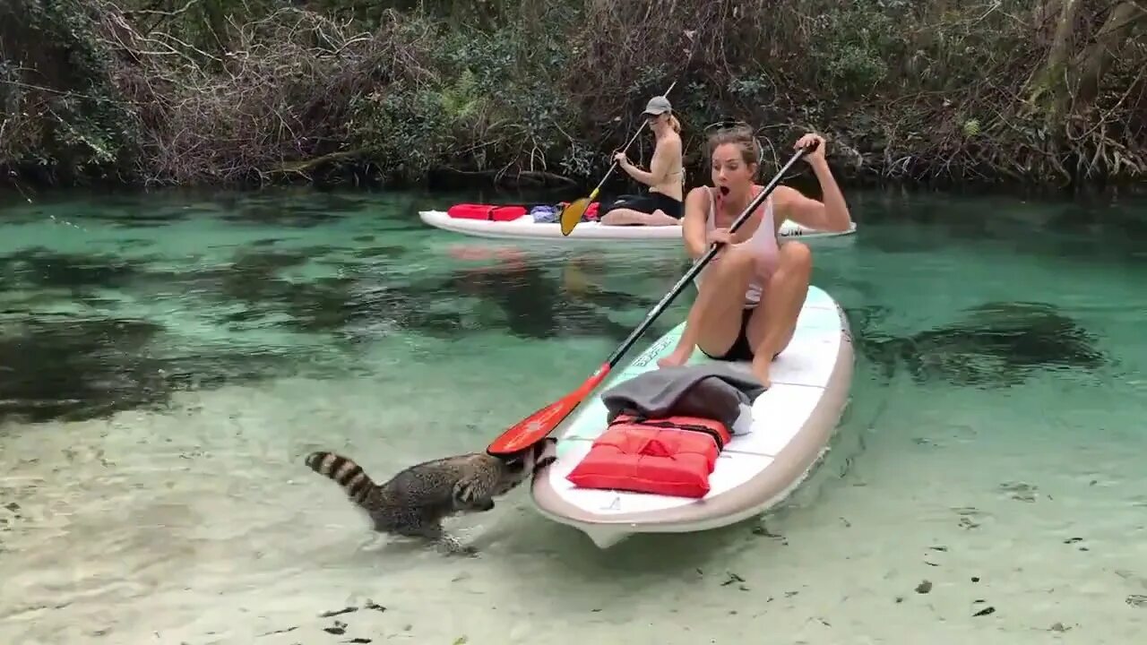 Самое захватывающее видео ютуб. Девушка серфер под водой. Серфинг под водой. Горы туризм. Национальный парк гранд-каньон туристы.