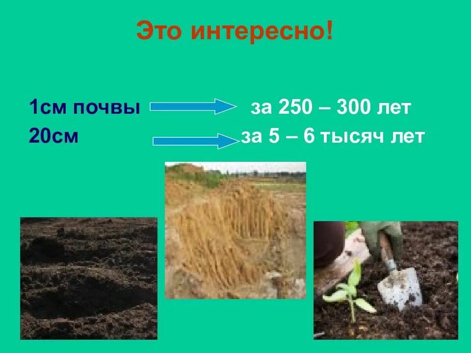 Почва проектная работа. Почва презентация. презентация на тему почва. тема почва 3 класс окружающий мир. призентация на тема почива.