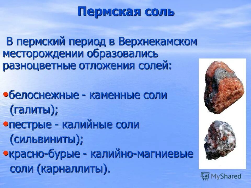 мирсоль бийск. соляная пещера бронницы. соляная комната пермь. соляная пещера пермь. соляная шахта соликамск.