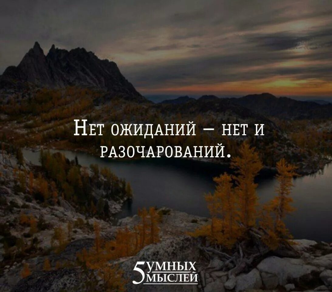 Красивые высказывания о природе. Красивые фразы про природу. Афоризмы о природе. Красивые цитаты про природу. Много разочарований