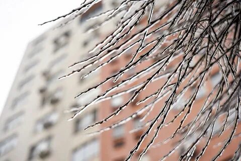 Цум в ростове после ледяного дождя