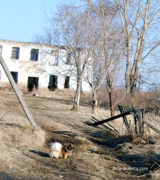 Погода в курундусе. Курундус Тогучинский район. Станция Курундус Новосибирская область. Элеватор Курундус. Курундус фото.