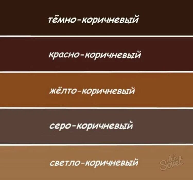 Какого цвета шоколад. Оттенки коричневого. оттенки коричнечогоцвета. оттеннкикоричнего цвета. коричневый оттенки коричневого цвета.