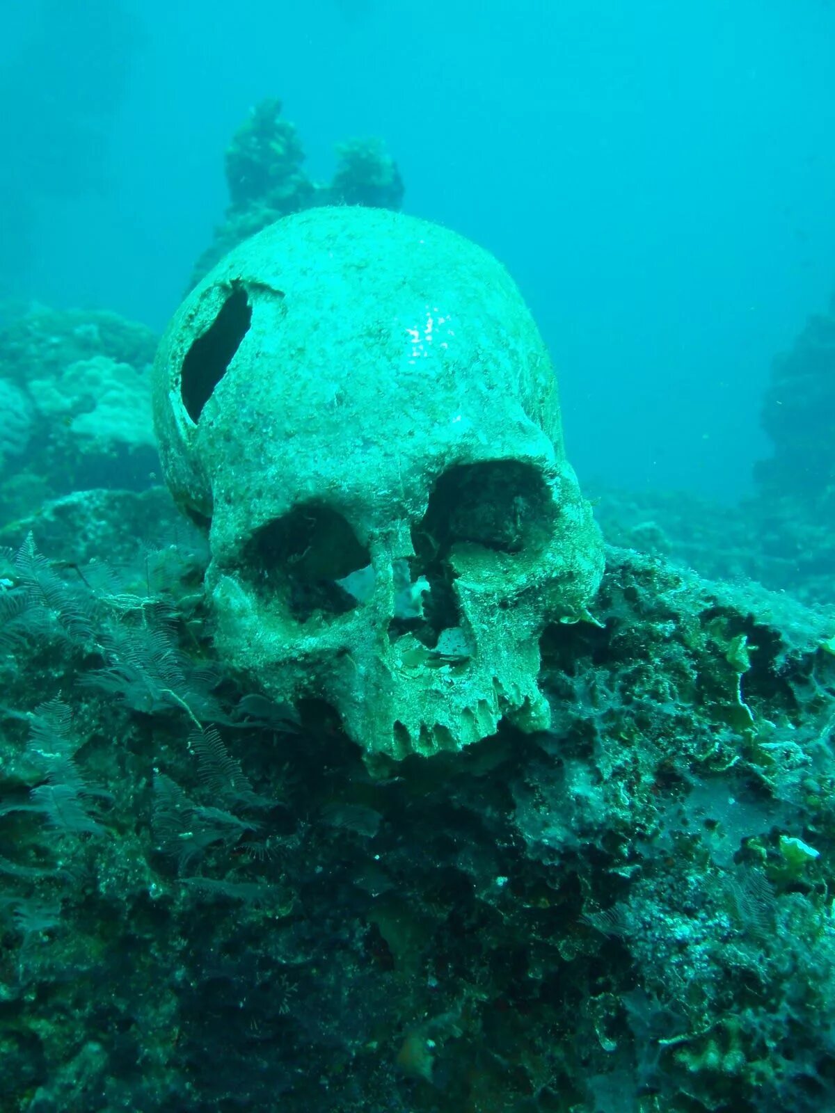 Сто на дне океана. Лагуна трук. Лагуна погибших кораблей Чуук (Chuuk Lagoon) Микронезия. Лагуна трук в Микронезии. Лагуна трук затонувшие корабли.