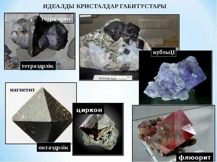 Кесілген пенистердің фотосуреттері