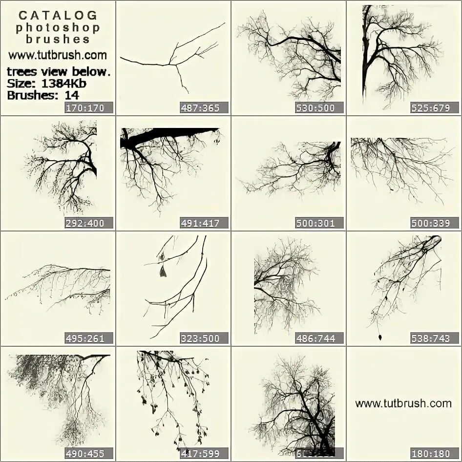 Ветки на кисти. Кисти для фотошопа деревья. Кисть ветви деревьев. Кисти для фотошопа ветви.