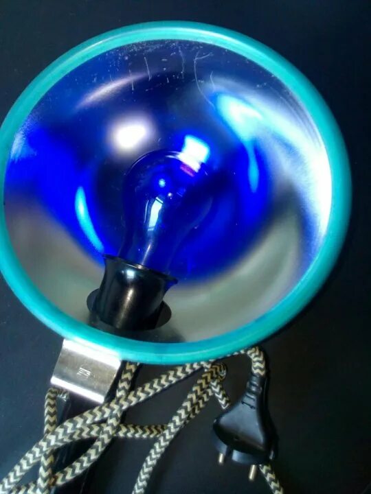 Бс 230-240-60 (синяя лечебная лампа доктор). Сделай лампу синим. Окрашенные лампочки. Синяя лампа для прогревания. Синяя лампа (рефлектор минина).