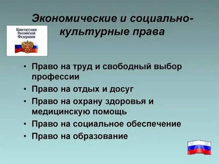 Право на профессию конституция