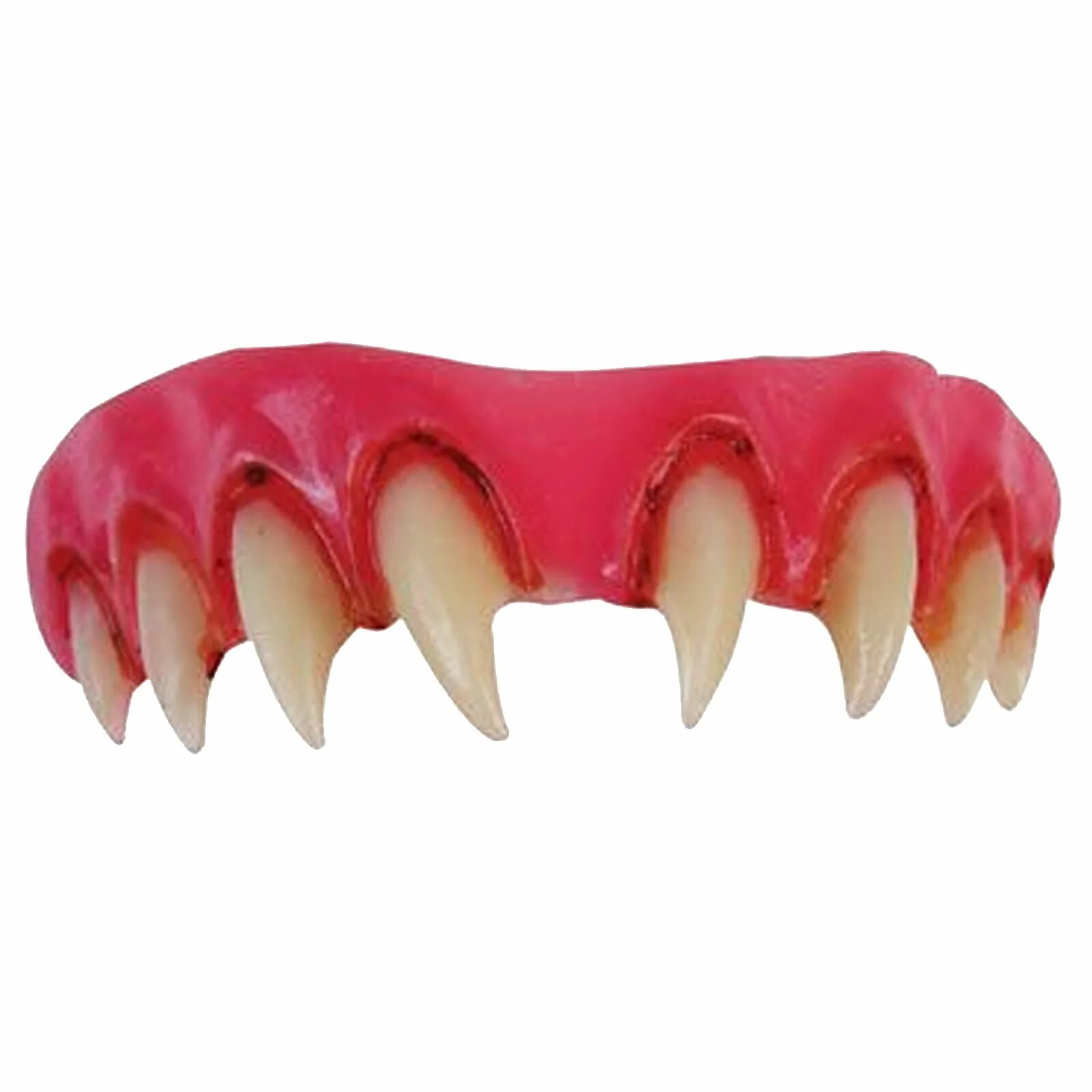 Вставная челюсть с острыми зубами. Вставная челюсть с клыками. Накладные вампирские челюсти. Клык фото зуба