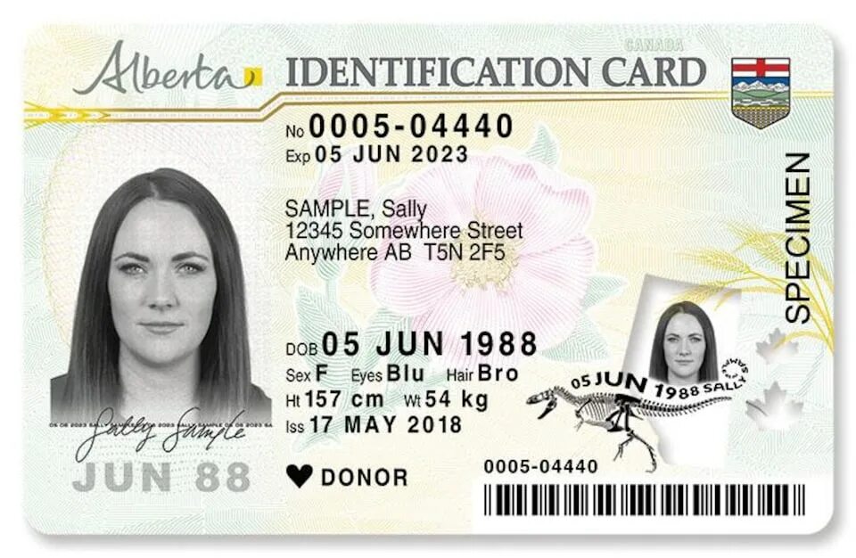 Ids license. ID карта. ID карта Канады. Канадская ID карта. ID Card USA.
