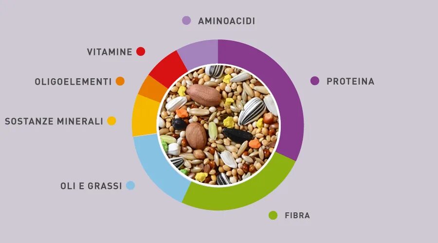 Из чего состоит б 6. Сбалансированный рацион для животных. Источники белков жиров и углеводов. Схема сбалансированного питания. Белки жиры углеводы микроэлементы витамины.